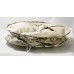 Торшер Cottonwood GRLSP-0503 Lussole LGO