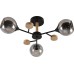 Потолочная люстра Elouisa 9181-303 Rivoli