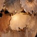 Подвесная люстра Патриция 447012606 MW-Light