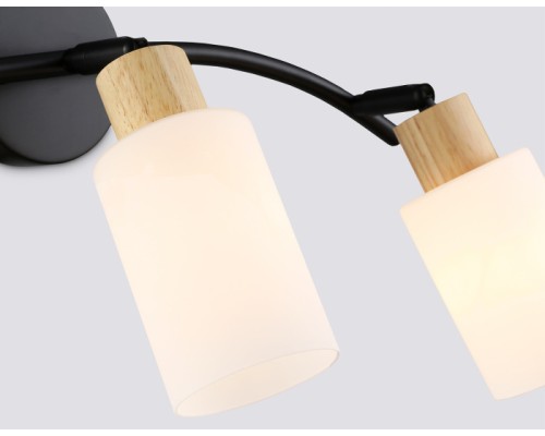 Спот TRADITIONAL TR8722 Ambrella