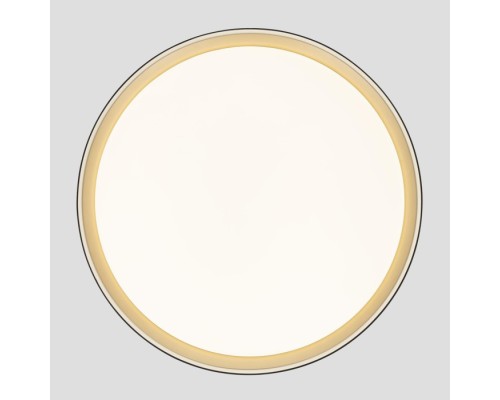 Потолочный светильник Boss CL751451G Citilux