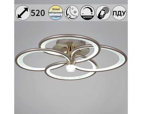 Потолочный светильник  09246-0.3-4S Champaign silver Reluce