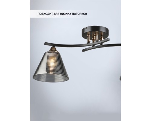 Потолочная люстра Dorika WD3636/2C-CF-FGD-SMK Wedo Light