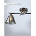Потолочная люстра Dorika WD3636/2C-CF-FGD-SMK Wedo Light