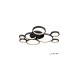 Потолочная люстра Ring Star 9004-8L-X BK iLedex