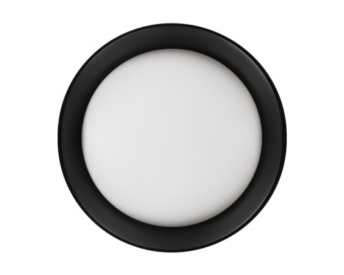 Потолочный светильник Coin 10202 BB Loft It