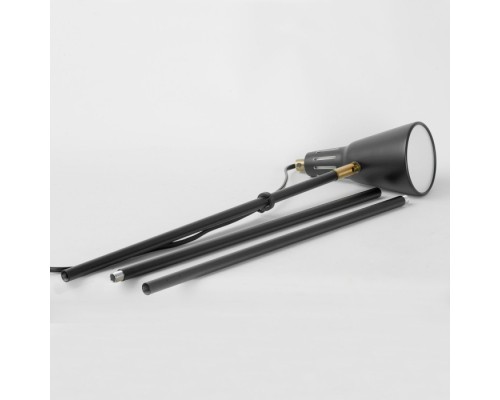 Торшер Union LSP-0674 Lussole