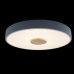 Потолочный светильник Axel 10003/24 Grey Loft It