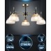 Потолочная люстра Olis WD3617/5C-AB-BK-WT Wedo Light