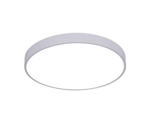 Потолочный светильник Arena A2670PL-1WH Arte Lamp