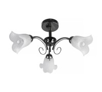 Потолочная люстра Magdalene TL3490X-03BC TopLight