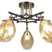 Потолочная люстра Deylna 66749.01.69.05 Wedo Light