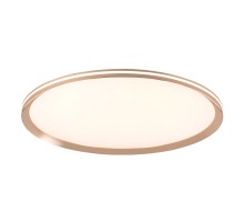 Потолочный светильник LED4U L3020-600 GD LED4U