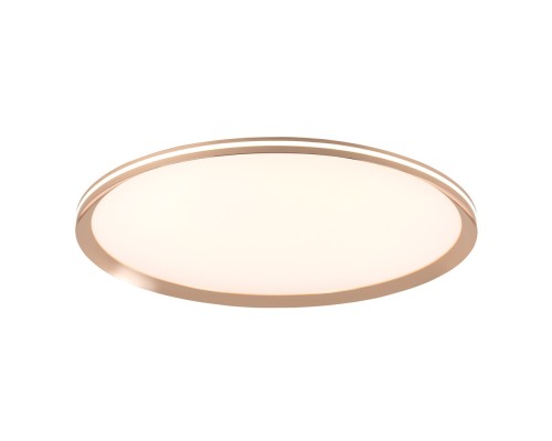 Потолочный светильник LED4U L3020-600 GD LED4U