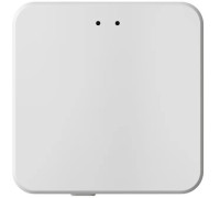 Wi-Fi конвертер CONTROL BT DK7401-WF Denkirs