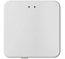 Wi-Fi конвертер CONTROL BT DK7401-WF Denkirs