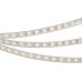Светодиодная лента SPI герметичная 041615(1) Arlight