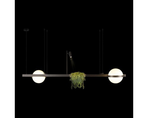 Подвесной светильник Jardin 10121/D Dark grey Loft It