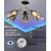Потолочная люстра Merita 66727.01.13.05 Wedo Light