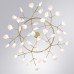 Подвесная люстра Candy A7272SP-45GO Arte Lamp