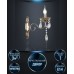Бра Feroniya WD3543/1W-FGD-CL Wedo Light