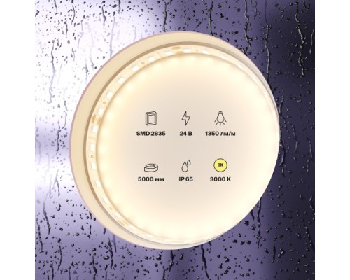 Светодиодная лента Светодиодная лента 24В 10151 Maytoni