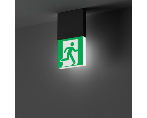 Аварийный светильник EMERGENCY 057966 Arlight