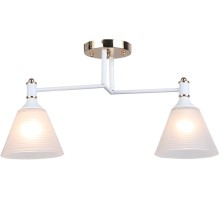 Потолочная люстра Anneta WD3619/2C-WT-FGD-WT Wedo Light