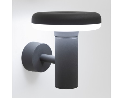 Настенный фонарь уличный  CLU01W Citilux