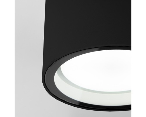 Потолочный светильник уличный Light 35144/H черный Elektrostandard