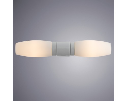 Настенный светильник Aqua-bastone A1209AP-2WH Arte Lamp