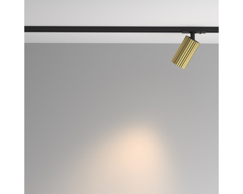 Трековый светильник Calipso TR218-1-GU10-BS Maytoni