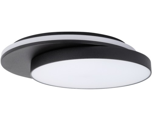 Потолочный светильник уличный SIDNEY LED W2058 Bl Oasis Light
