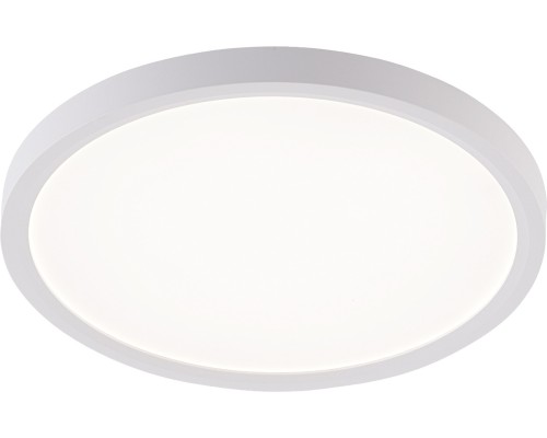 Потолочный светильник Plain LED LAMPS 81113/2C Natali Kovaltseva