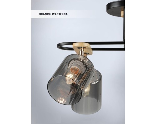 Потолочная люстра Lana WD3608/6C-BK-SMK Wedo Light