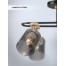 Потолочная люстра Lana WD3608/6C-BK-SMK Wedo Light