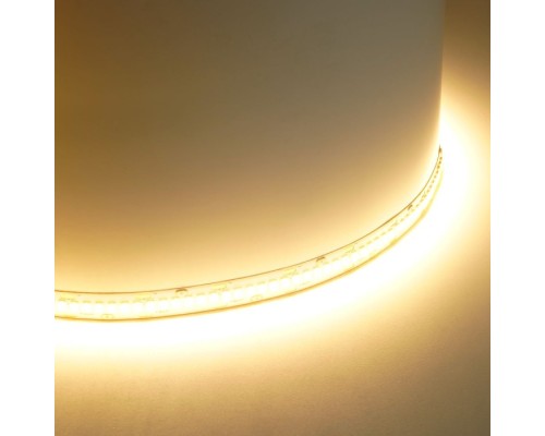 Светодиодная лента LS503 48829 Feron