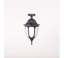 Потолочный светильник уличный GENUYA 92105A Bl Oasis Light