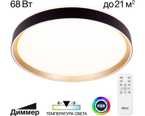 Потолочный светильник Boss CL751451G Citilux
