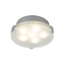 Настенно-потолочный светильник Xeta 70279 Paulmann