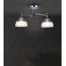Потолочная люстра Giordzhi WD3620/2C-CF-CR-WT Wedo Light