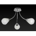 Потолочная люстра Fay TL3660X-03CH TopLight