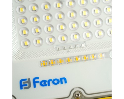 Прожектор уличный  48676 Feron