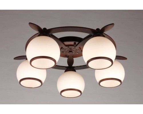 Потолочная люстра Fronteira OML-50507-05 Omnilux