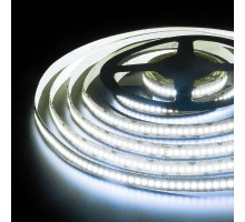 Светодиодная лента 24V 24W IP20 Лента светодиодная 24V 24W 240Led 2835 IP20 холодный белый, 5м Elektrostandard