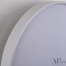 Потолочный светильник Toscana 3315.XM302-1-374/24W/4K White TD APL LED