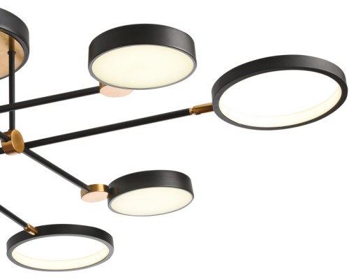 Потолочная люстра Loft Led LED LAMPS 81102/6C BRASS BLACK Natali Kovaltseva