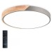Потолочный светильник Scandinavian LED LAMPS 81184 Natali Kovaltseva