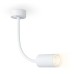 Настенно-потолочный светильник WALLERS FW2469 Ambrella