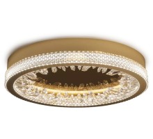 Настенно-потолочный светильник XD XD-50 gold DeLight Collection